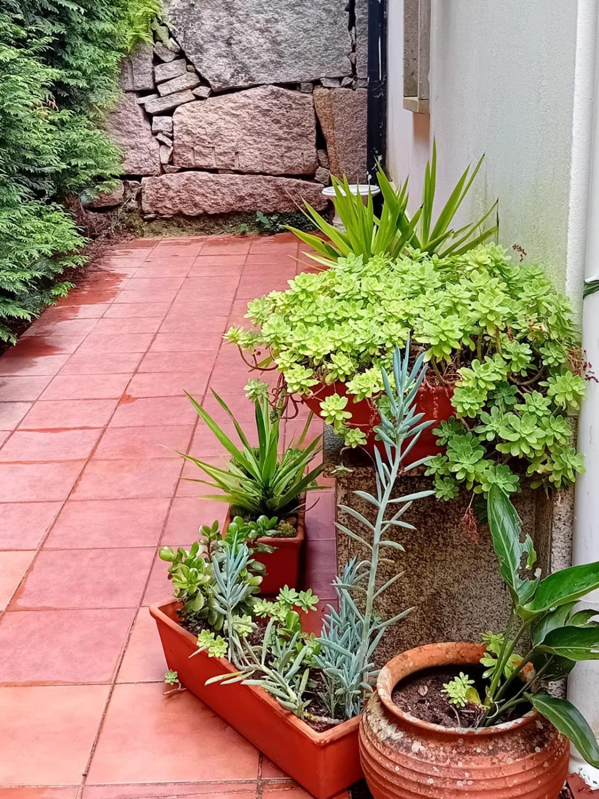 Vivienda Con Jardin Terraza Y Barbacoa Villa Picona Ngoại thất bức ảnh